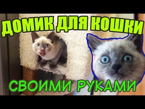 Как я строил домик для кошки своими руками. Кошка в ШОКЕ! / How To Make a Cat House
