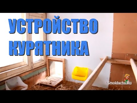 Устройство курятника - практические советы дачникам