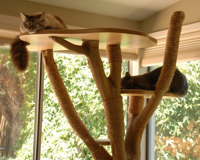 Домик для кошек своими руками способы создания уютного места