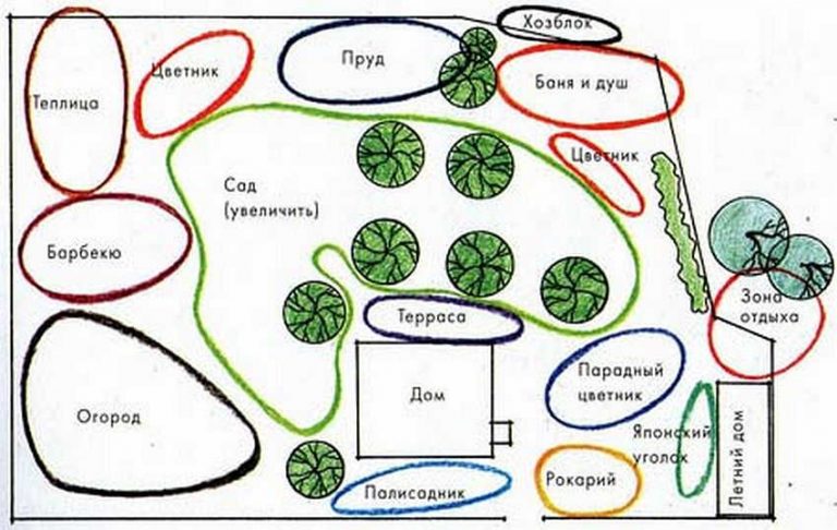 Ярусы луга схема